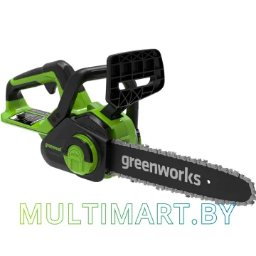 Аккумуляторная пила Greenworks G24CS25 2007707 (без АКБ) 